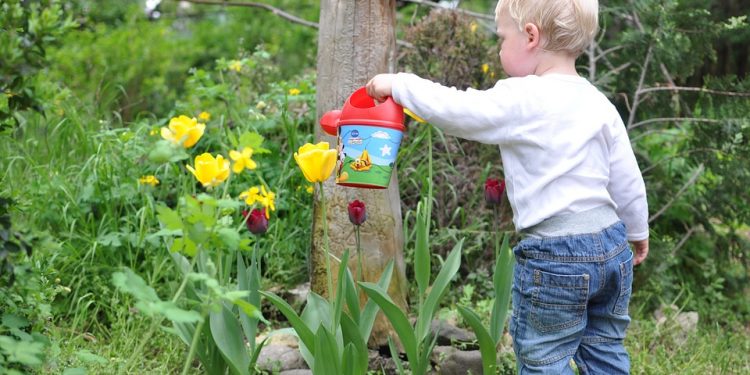 Hoe tuin kindvriendelijk maken