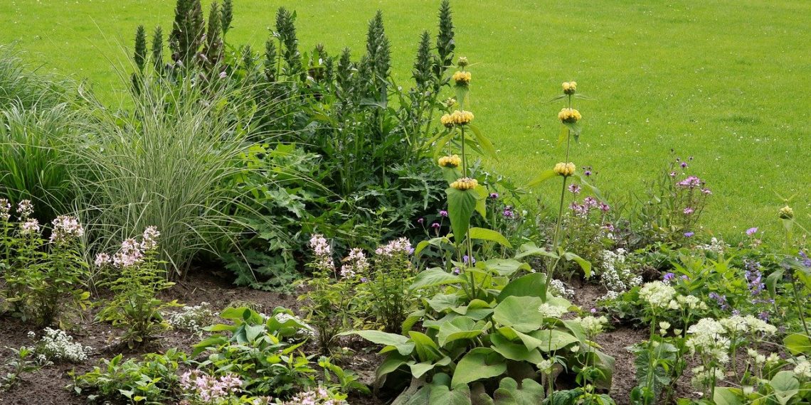 Groene tuin zonder moeite