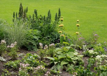 Groene tuin zonder moeite