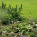 Groene tuin zonder moeite